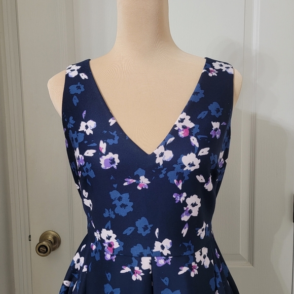 Taylor Size 6 Blue White Floral and Stripe Fit & Flare Sleeveless Dress - Picture 2 of 15